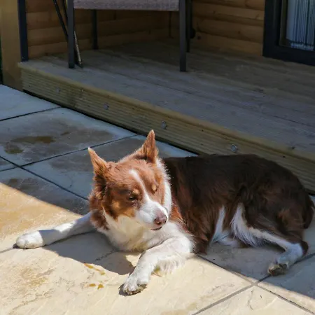 Holiday home Holly *