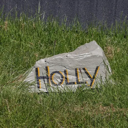 Holly